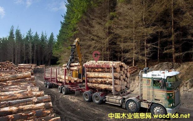 �����mԭľ���ڃr���ѵ���8�����ԁ�������c