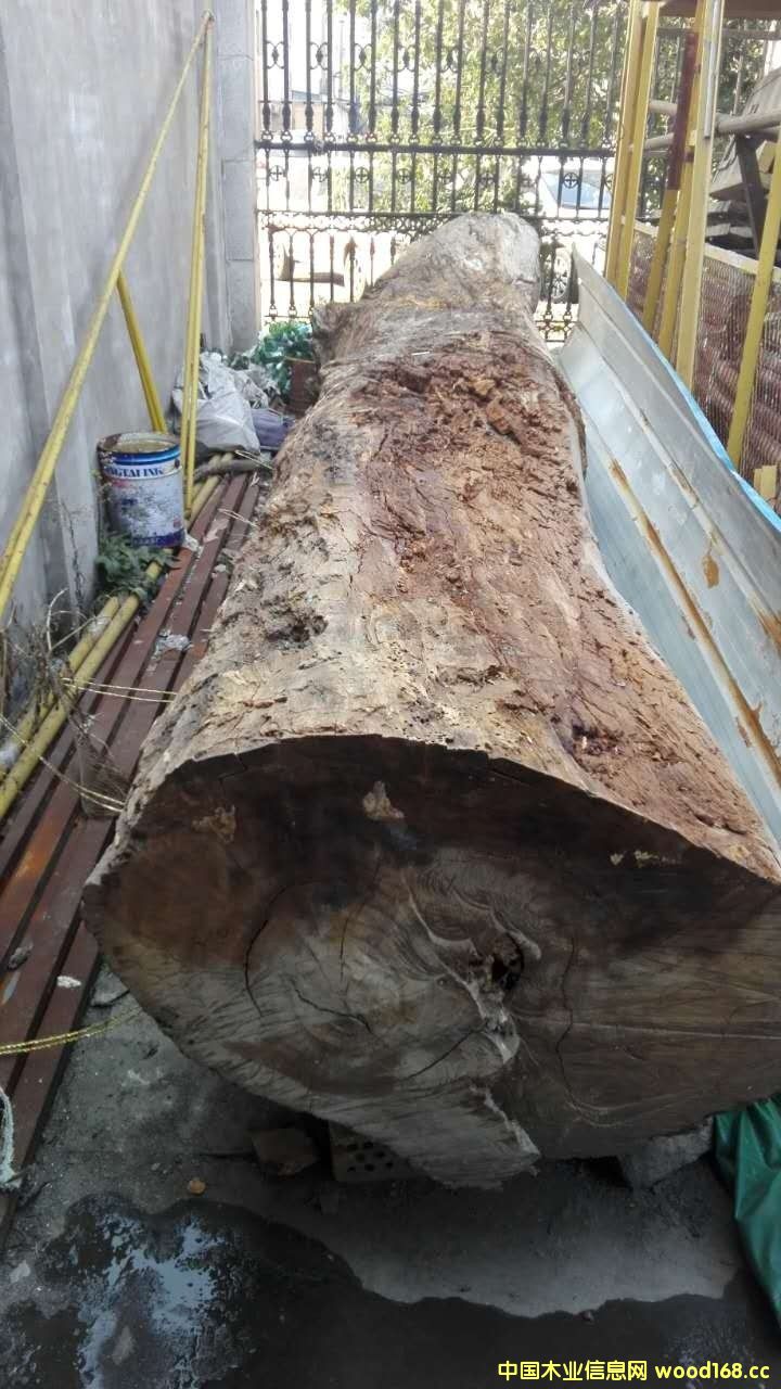 ��������200Ԫ���ԡ�����ľ�^��3���Ȼ�u��168�fԪ����