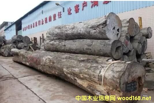 �����^���tľ�Ј�(ch��ng)���Lӛ�������ľ�ăr(ji��)���q