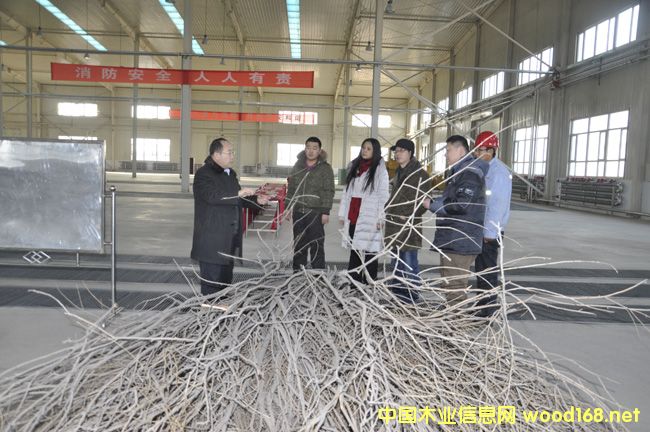 ������˹ɳ���ٻ���