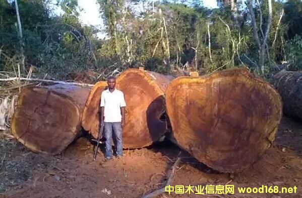 �G��ɣ���f(w��n)ľ֮����ľ���������