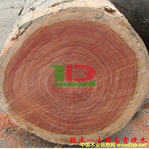 ľ�Ę�NԔ��--Ьľ  �׷Q���tõ����õ����Rľ���t��ľ