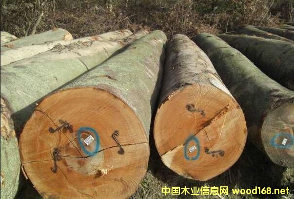 �W��ľ�ĺ��\(y��n)�M(f��i)�����������Ƿ�߀�и�����(y��u)����