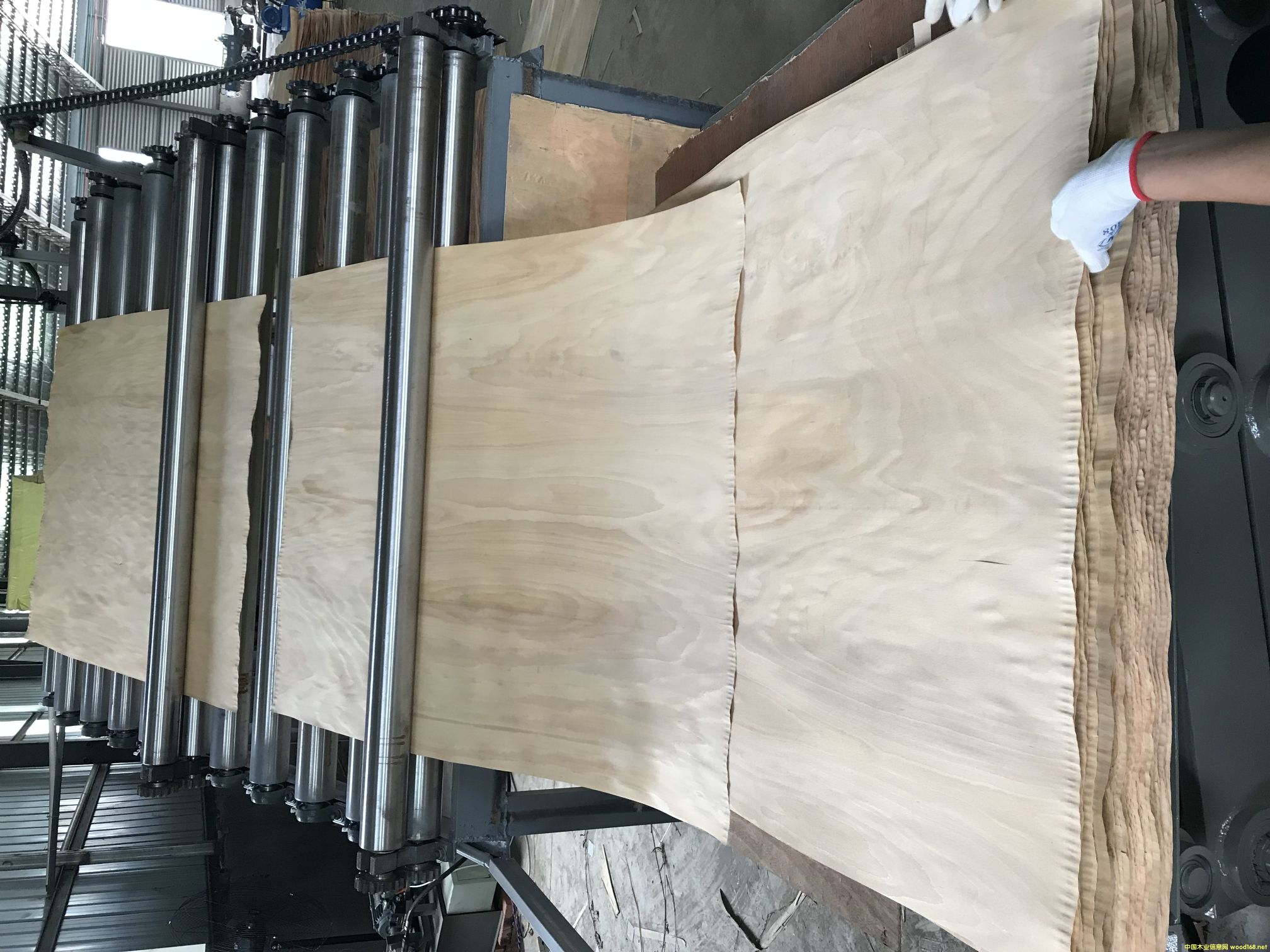 [��] ��ľ�ذ�ľƤ