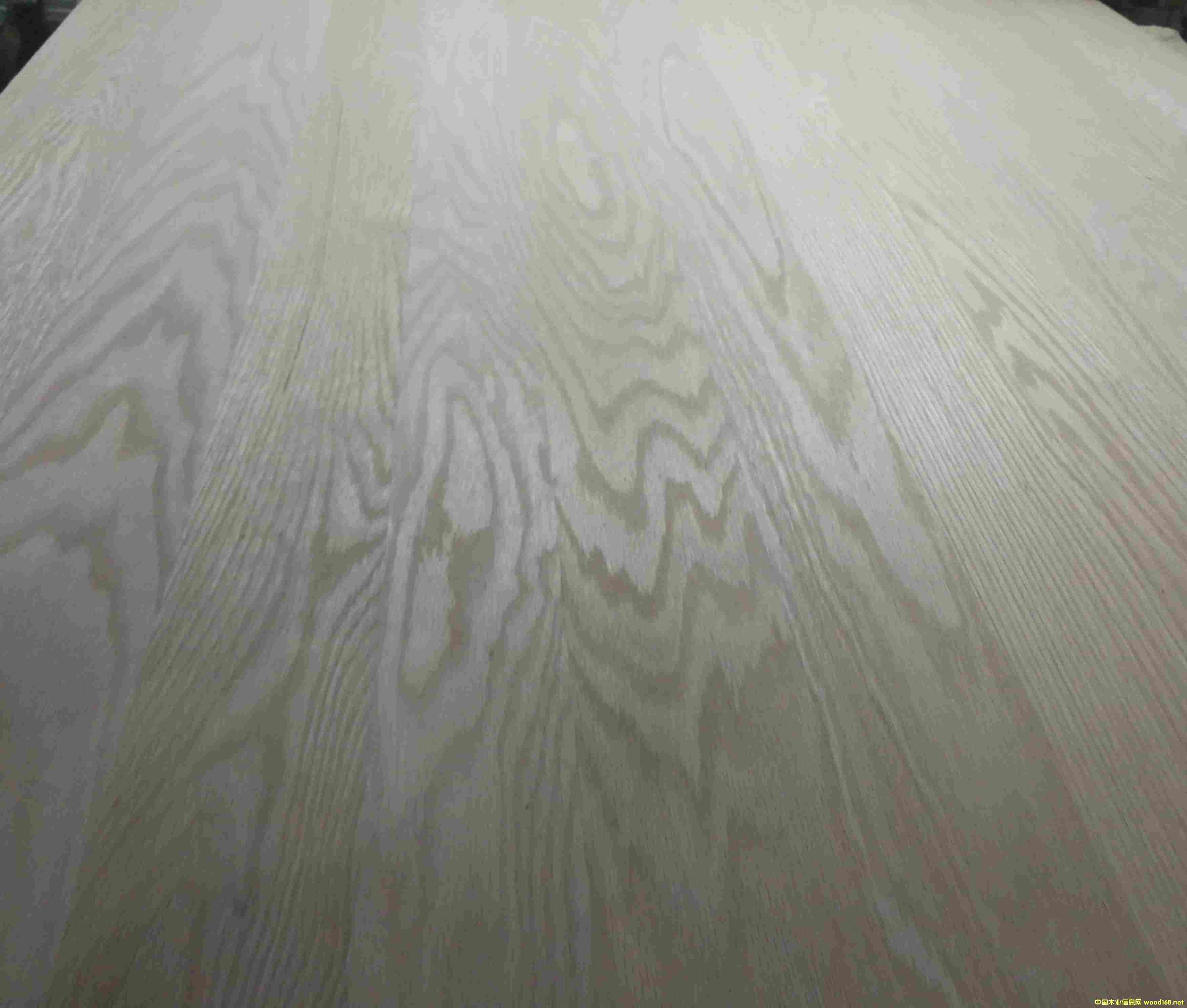 �t��ƴ���Ԕ����B