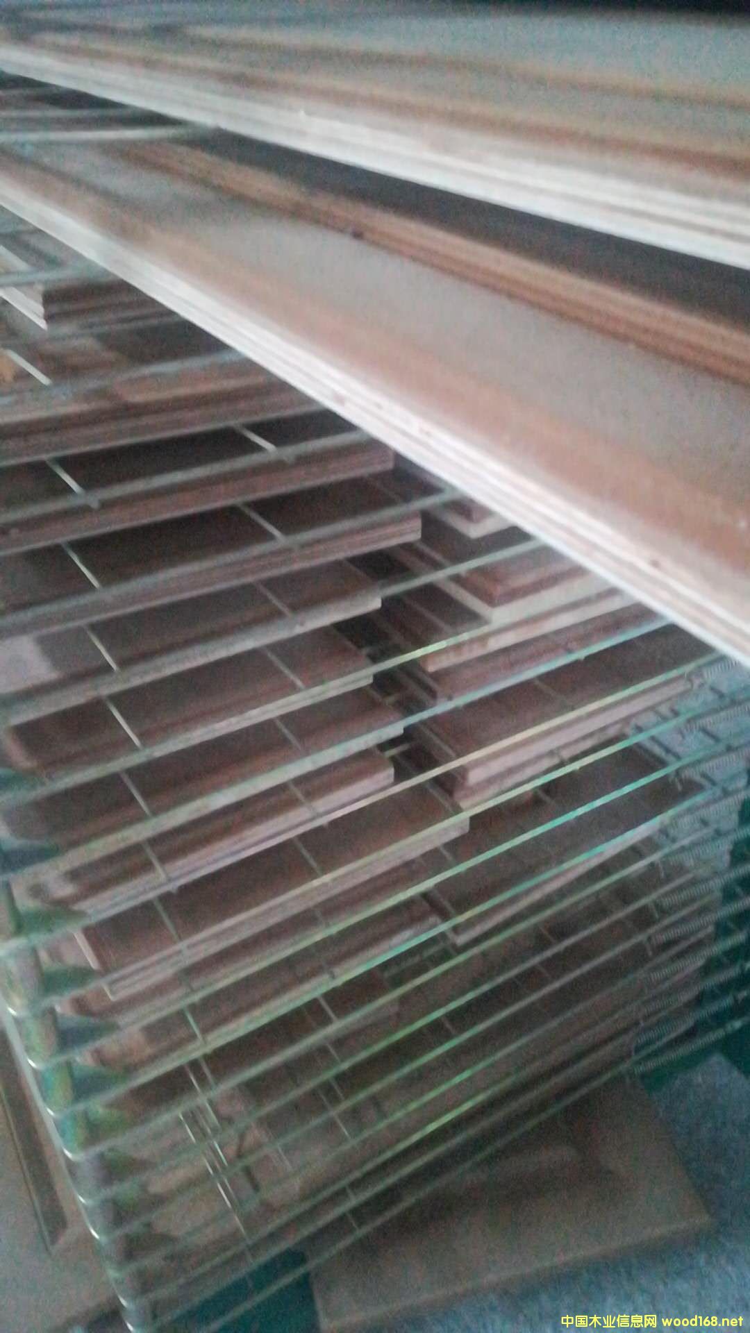 ���ӏͺϵ�̰�