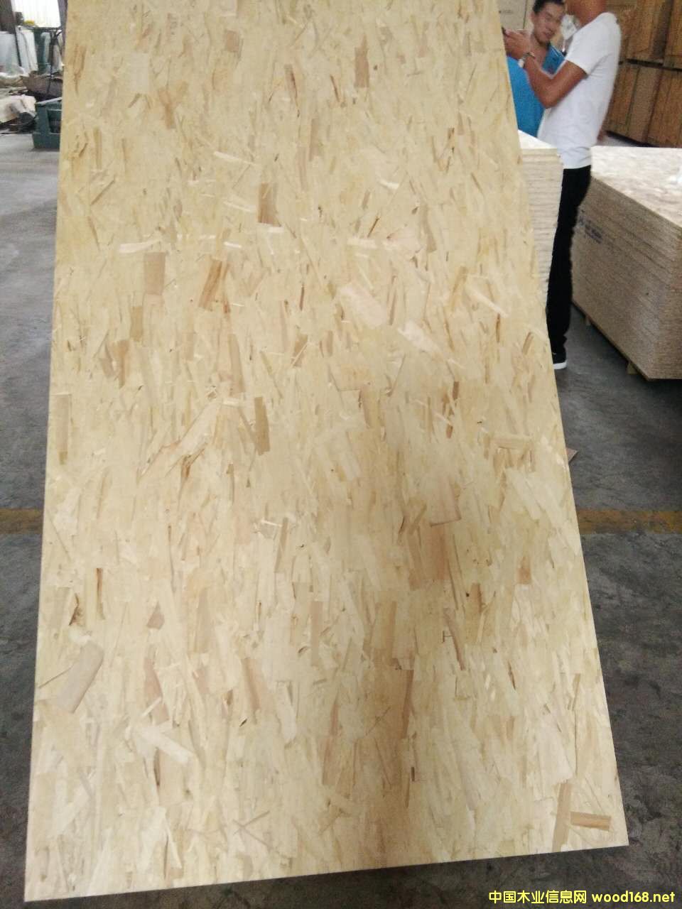 �����o(w��)ȩ��(j��)�߶�OSB