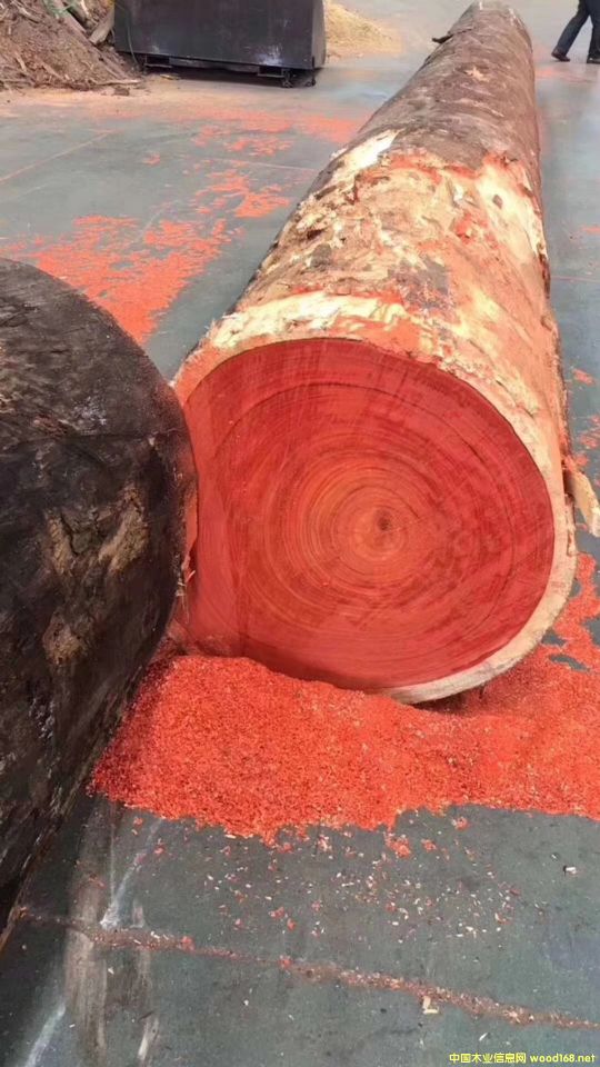 �t������������̴��Ԕ����B