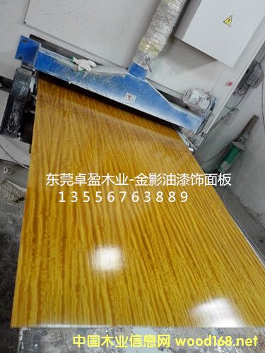 0.3��ӰľƤ����Ӱ��Ƥ����Ӱ�����Ԕ����B