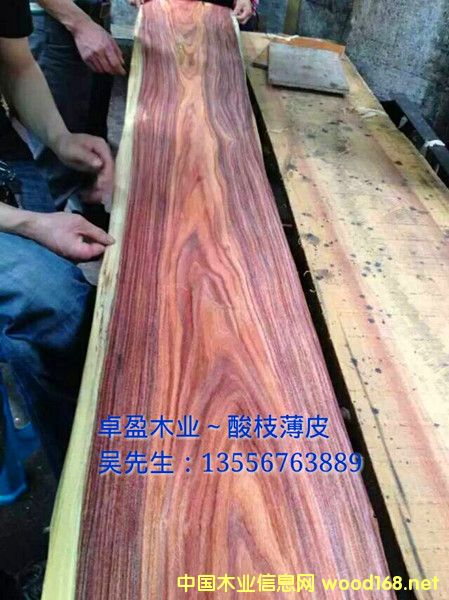 0.3MM ��֦ľƤ��Ԕ����B