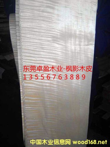 ��ӰľƤ��10�z��20�z��30�z����Ԕ����B