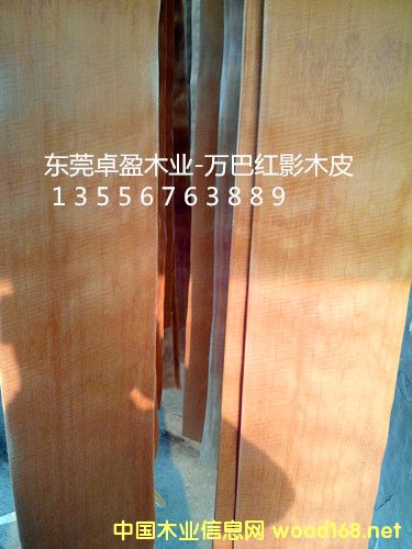 �tӰľƤ10�z��20�z��30�z��Ԕ����B