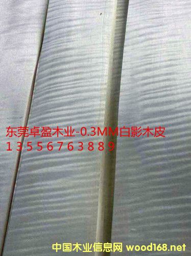 0.3��ӰľƤ����ӰľƤ�����Ԕ����B