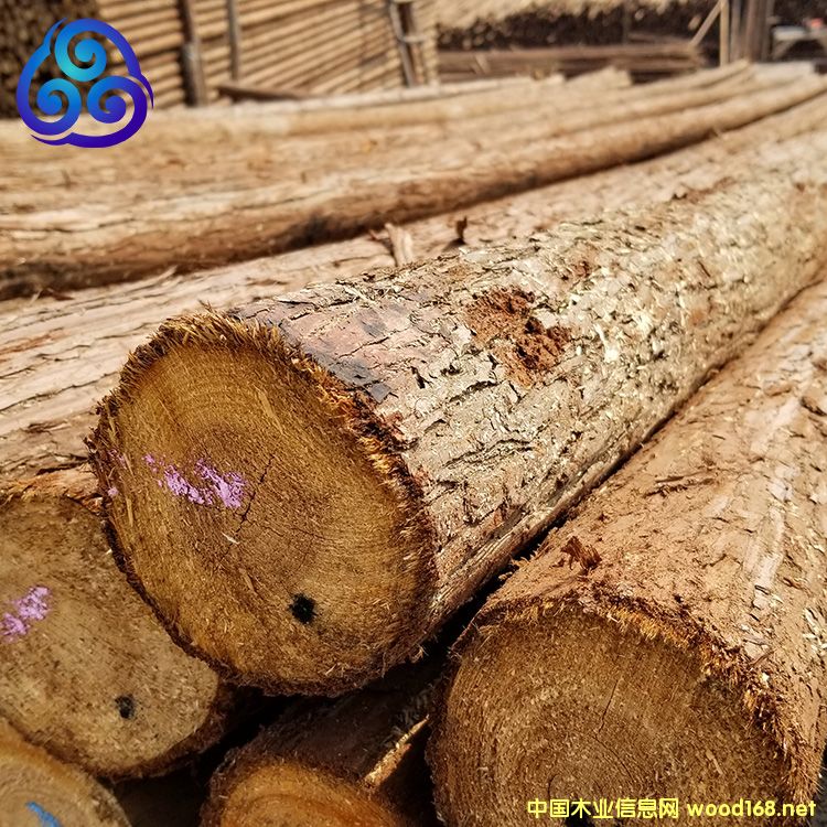 ľ����Ԕ��(x��)��B