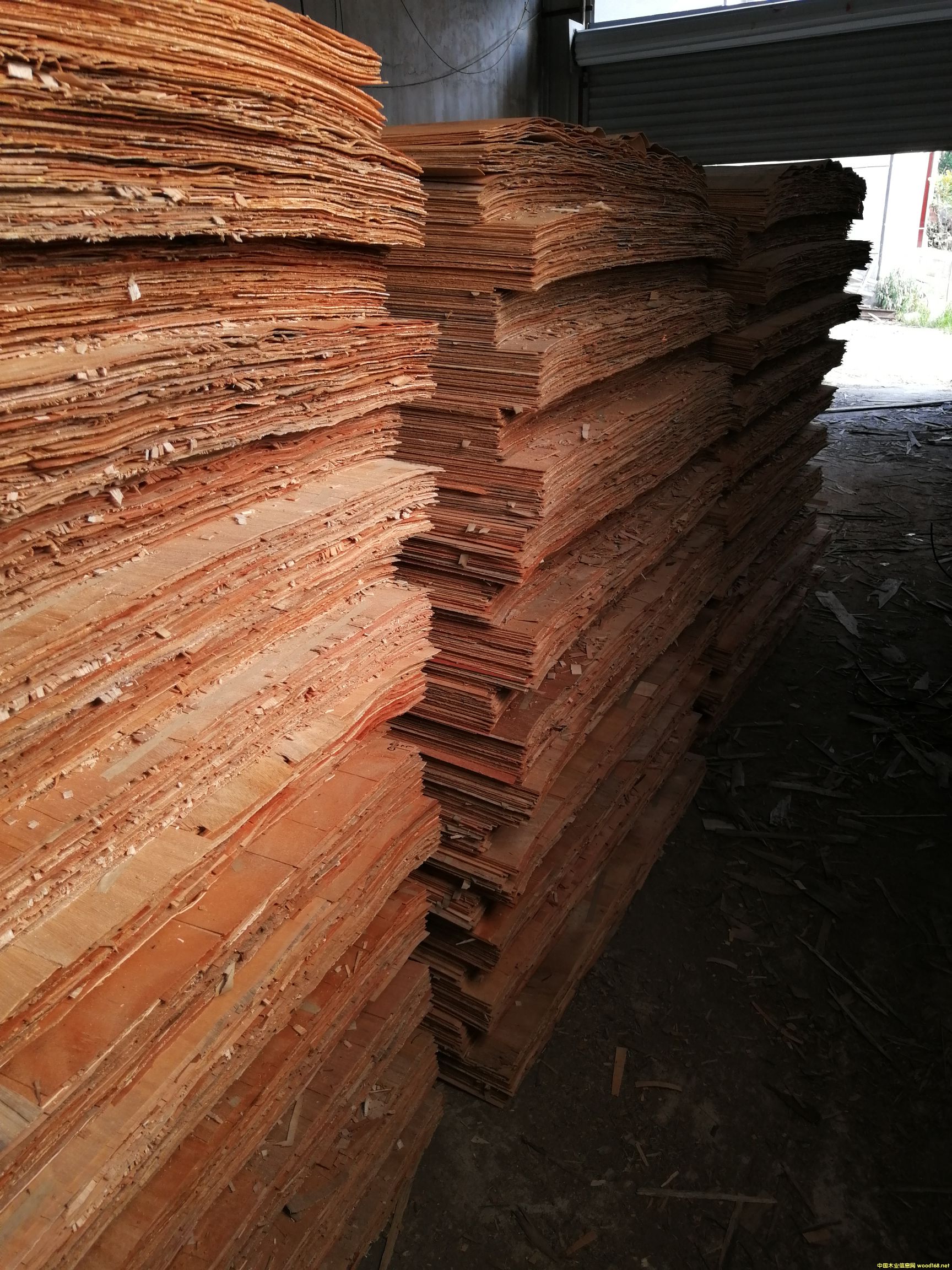 ���L���Ԕ��(x��)��B