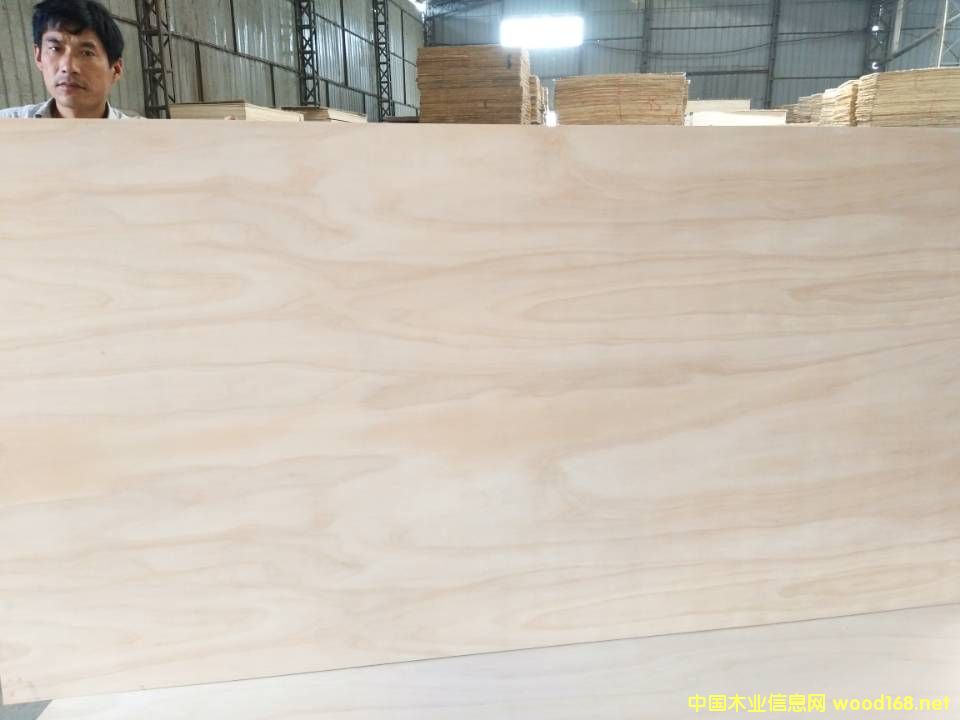 [��] ���Ӱ�