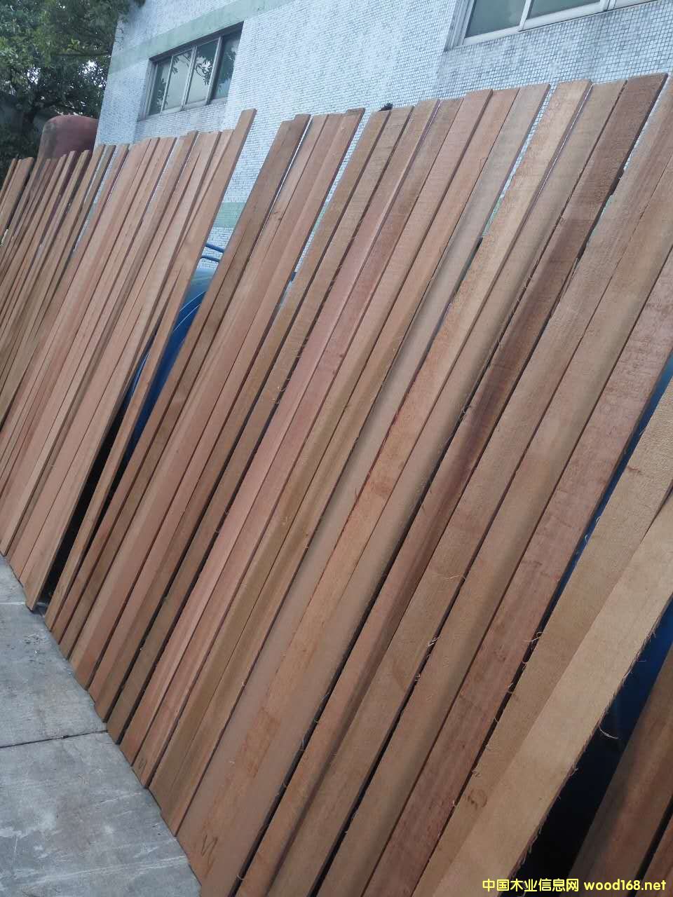 �tѩ�ɟo��(ji��)��