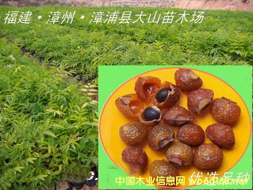 �o������