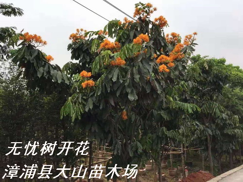 �o�n��o�n����Ԕ��(x��)��B