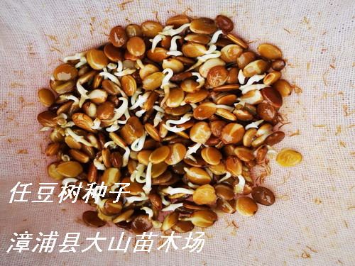 �ζ���N�ӡ����vľ