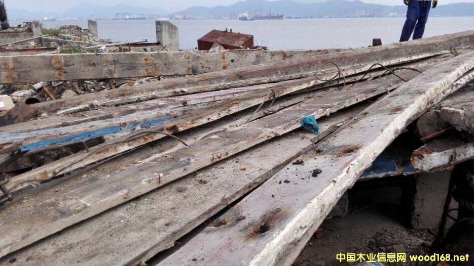 �㽭��ľ��Ԕ����B