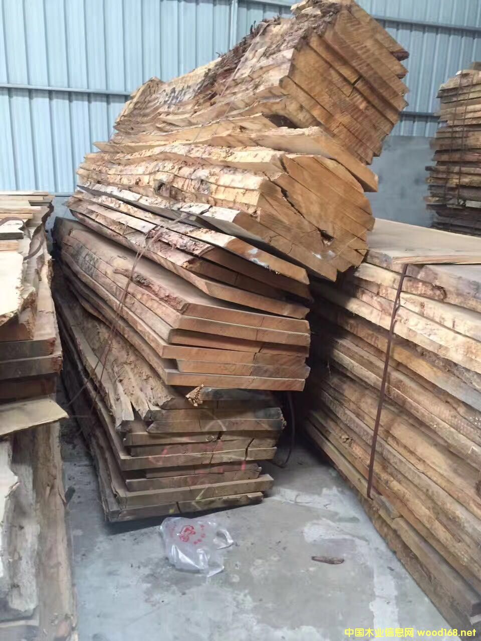 �W�ް����ĵ�Ԕ����B