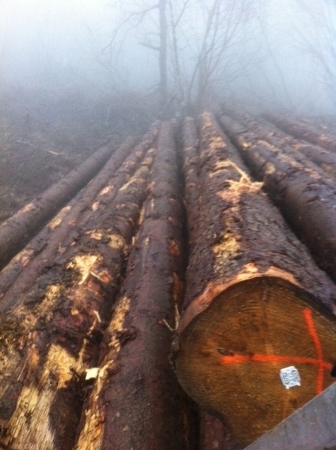 [��] �W����ɼԭľ