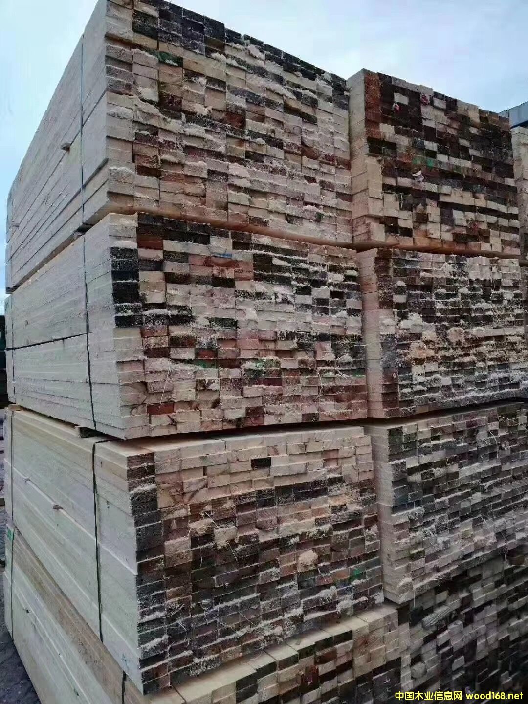 澳松的詳細介紹