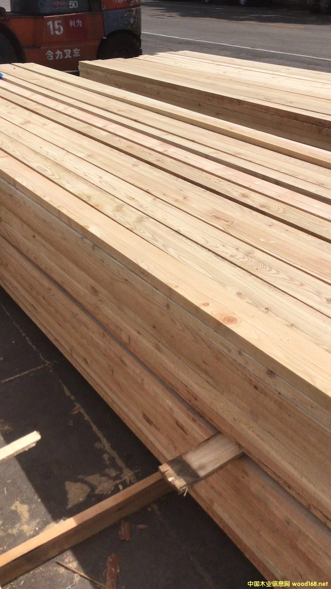 落葉松的詳細介紹