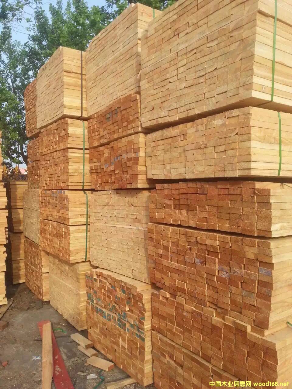 ������ľ��Ԕ����B