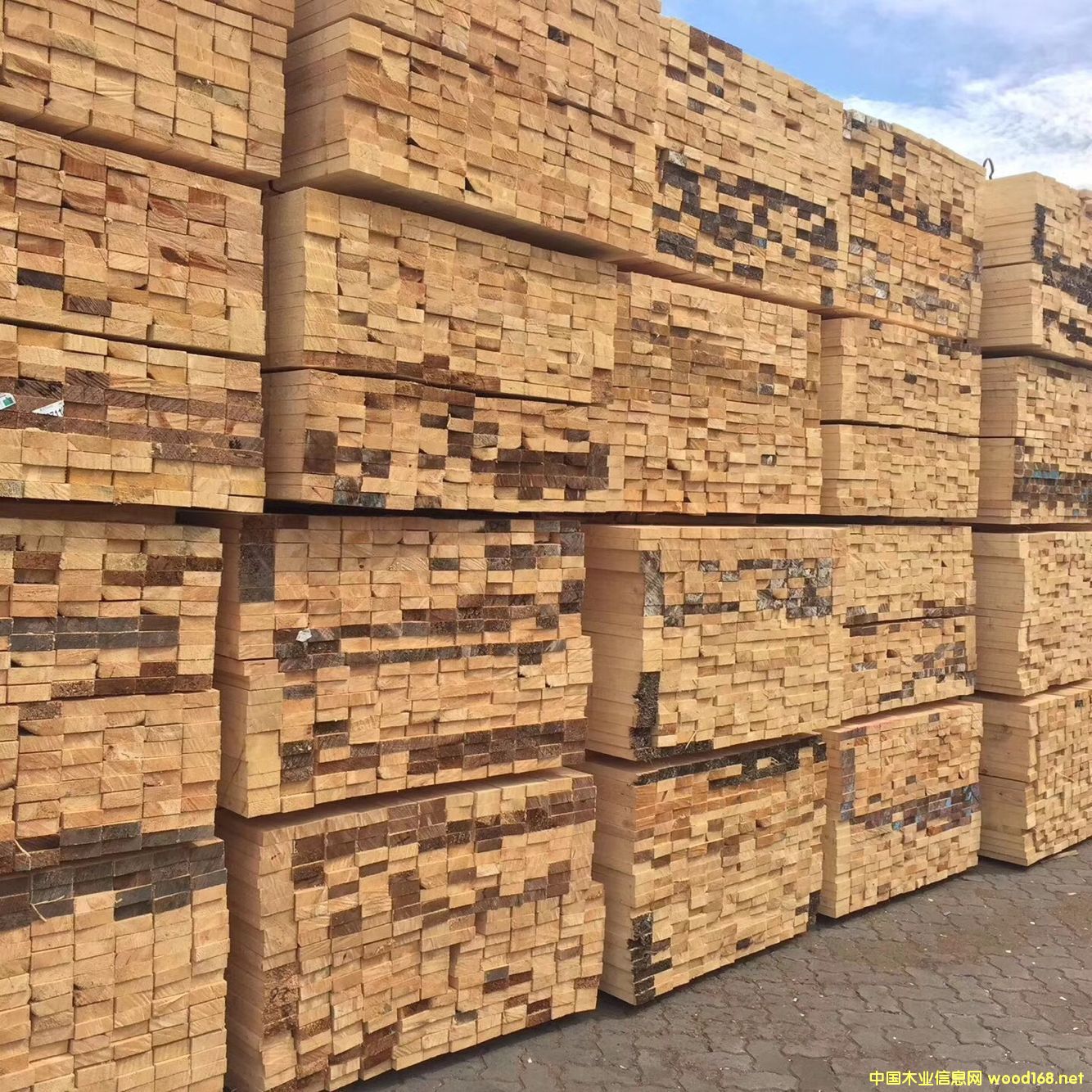 ������ľ �Fɼ��Ԕ����B