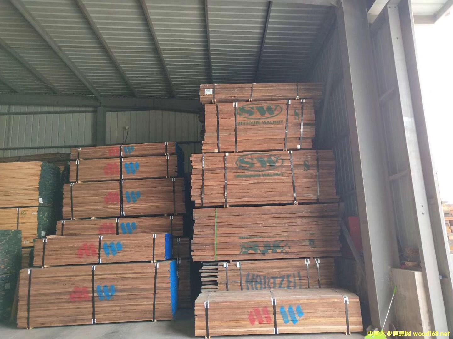 黑胡桃的詳細(xì)介紹