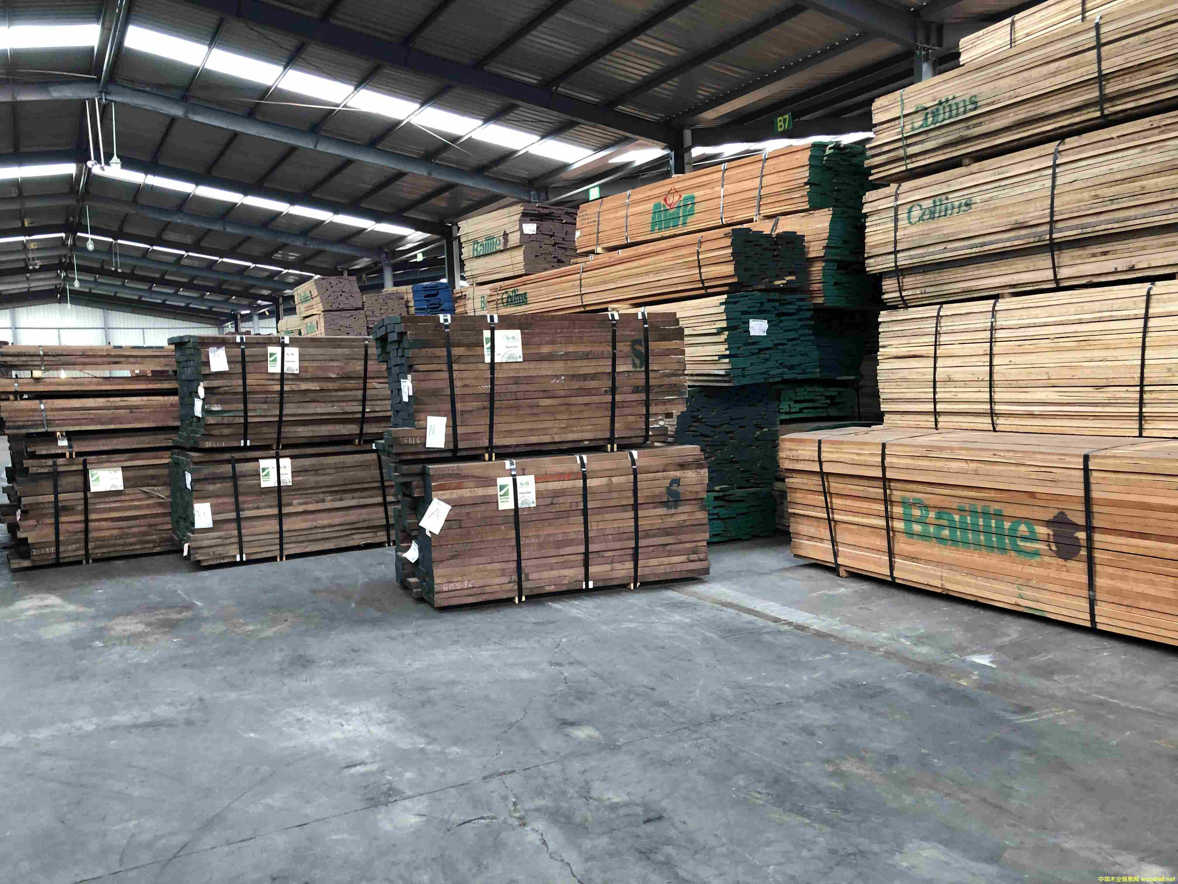 黑胡桃的詳細(xì)介紹