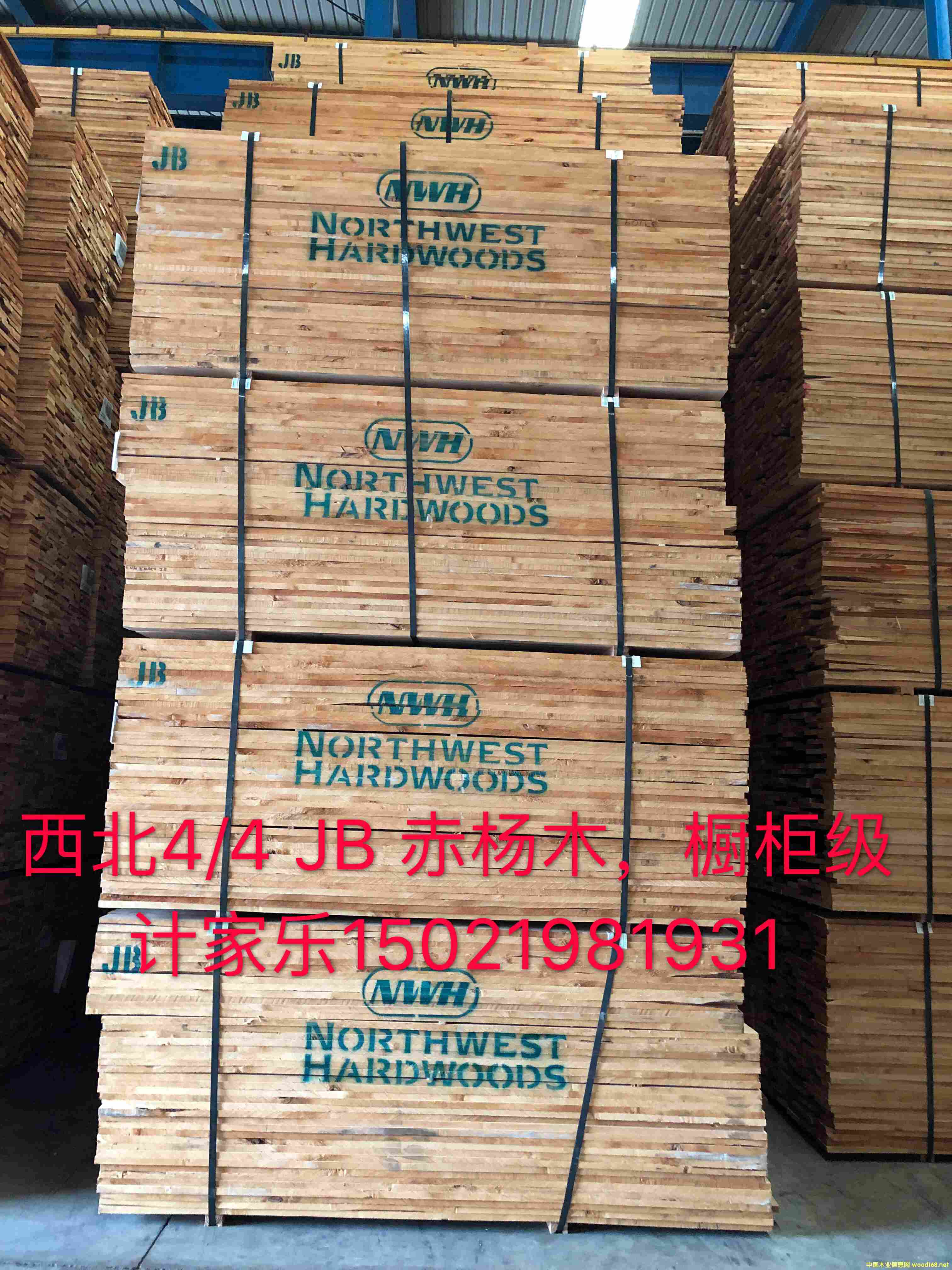 赤楊木的詳細(xì)介紹