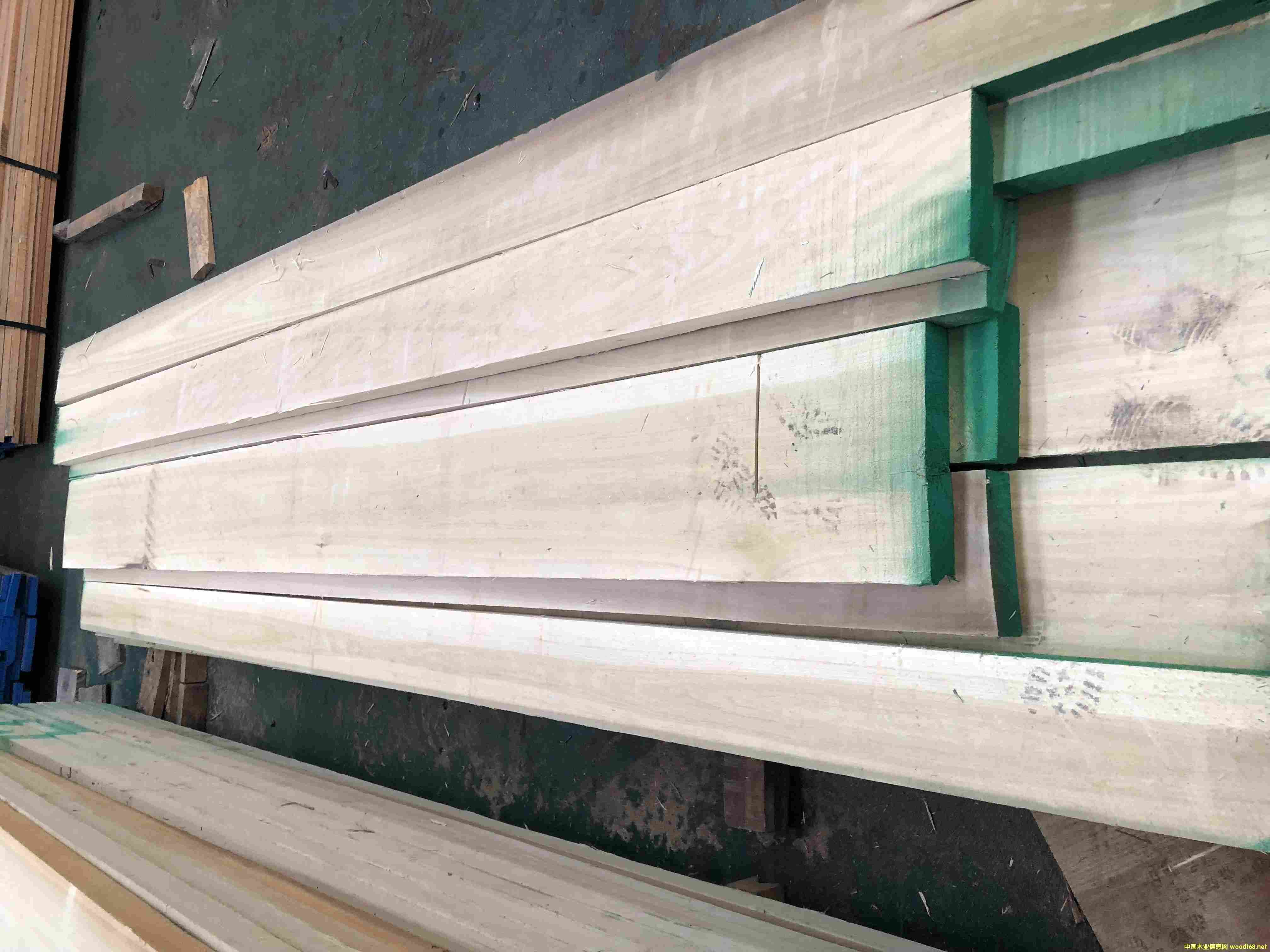 黃楊木的詳細(xì)介紹