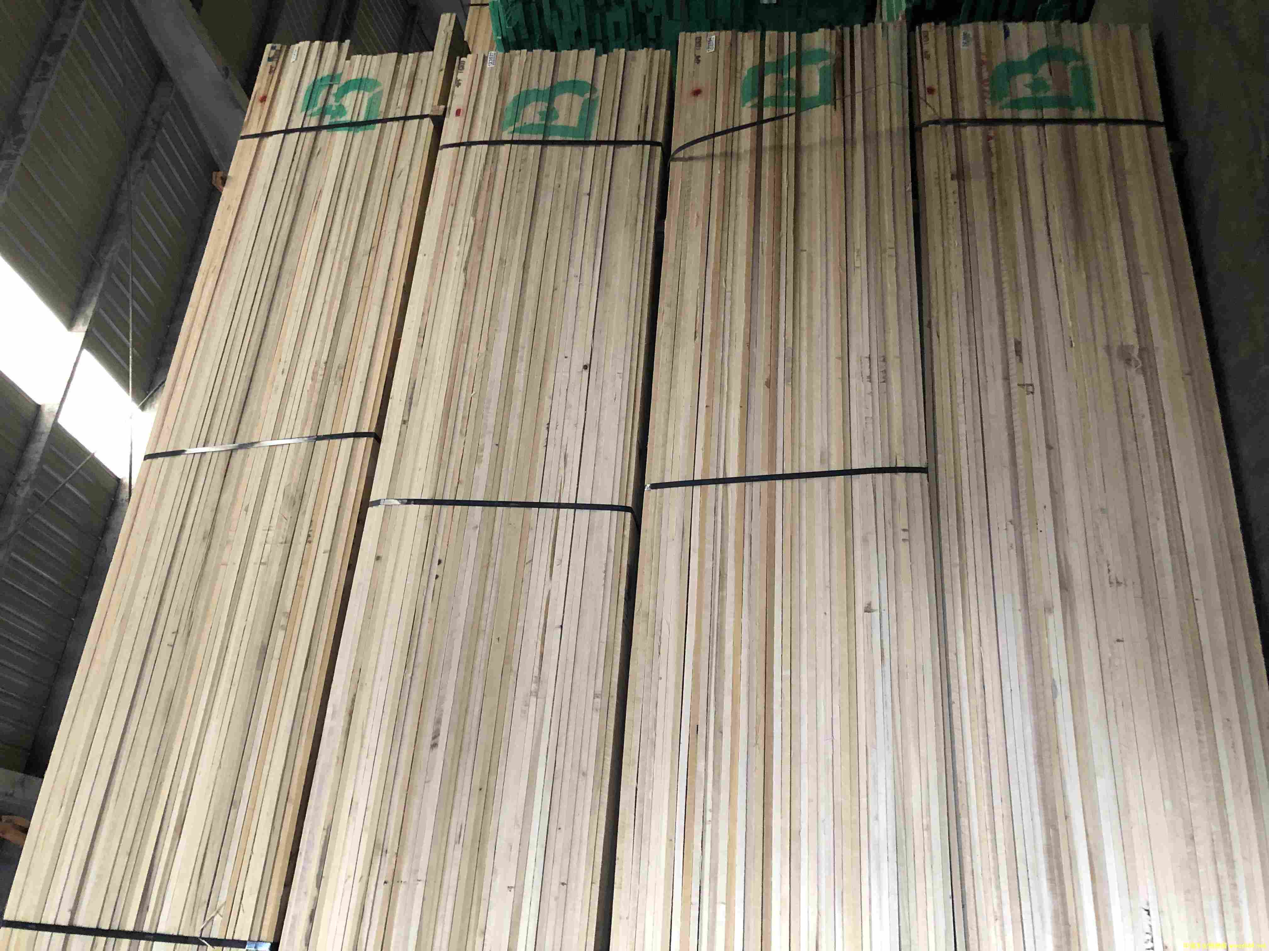 黃楊木的詳細(xì)介紹