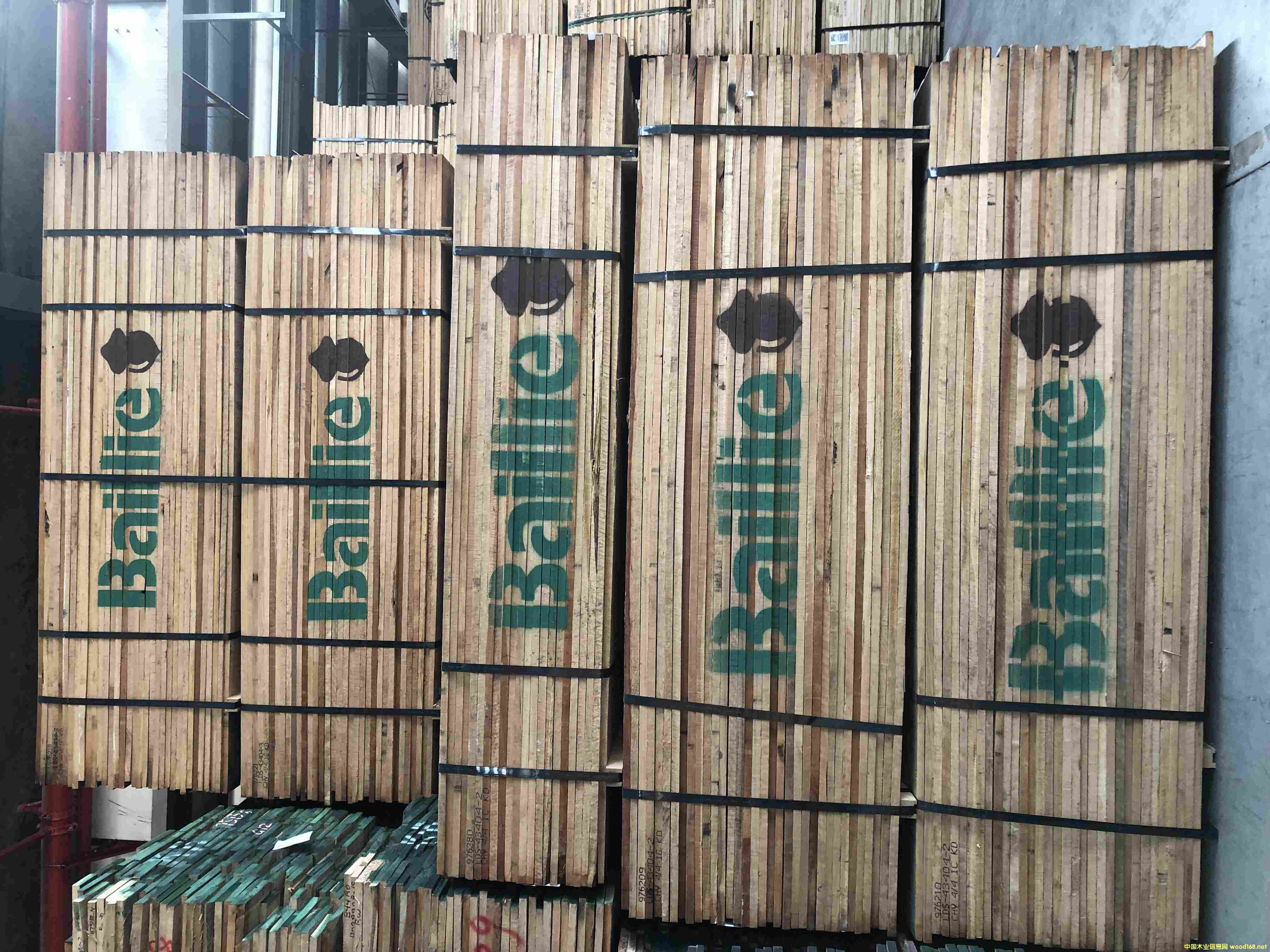 櫻桃木的詳細(xì)介紹