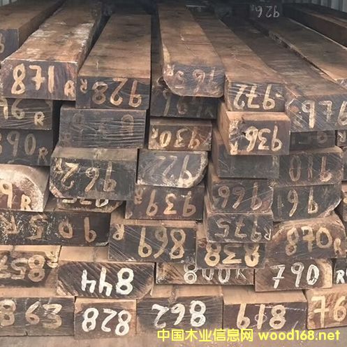 �t��֦��Ԕ��(x��)��B