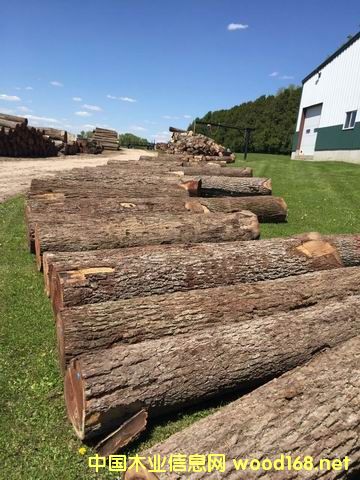 ����(gu��)�ں���ԭľ��Ԕ��(x��)��B