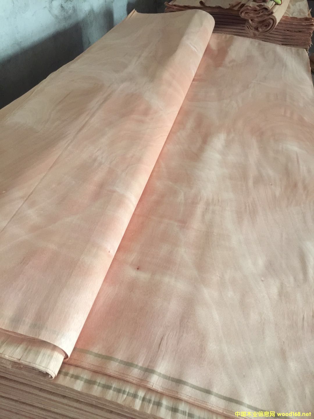 奧古曼的詳細(xì)介紹