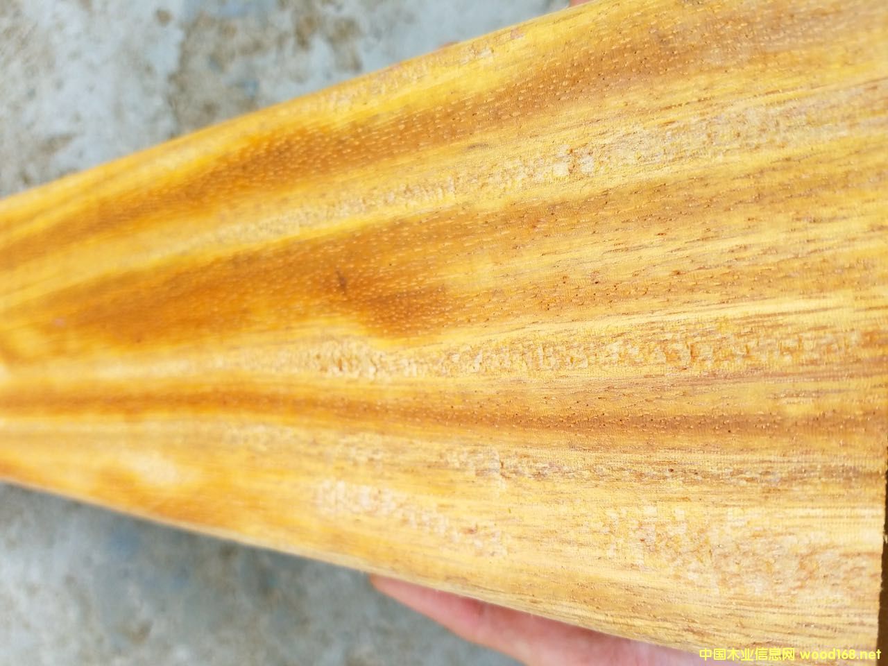 ���ݲ��}��