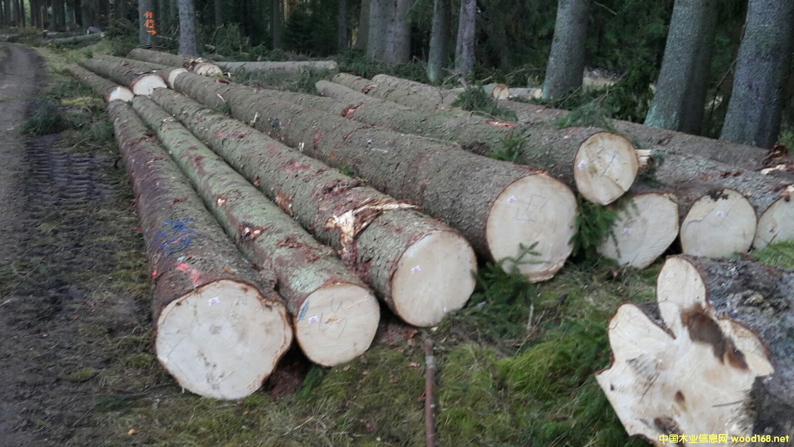 ��(gu��)��������ɼ