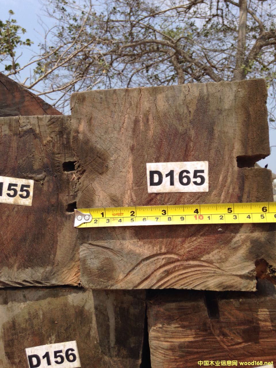 С���� ���ᶹ ��Ԕ��(x��)��B