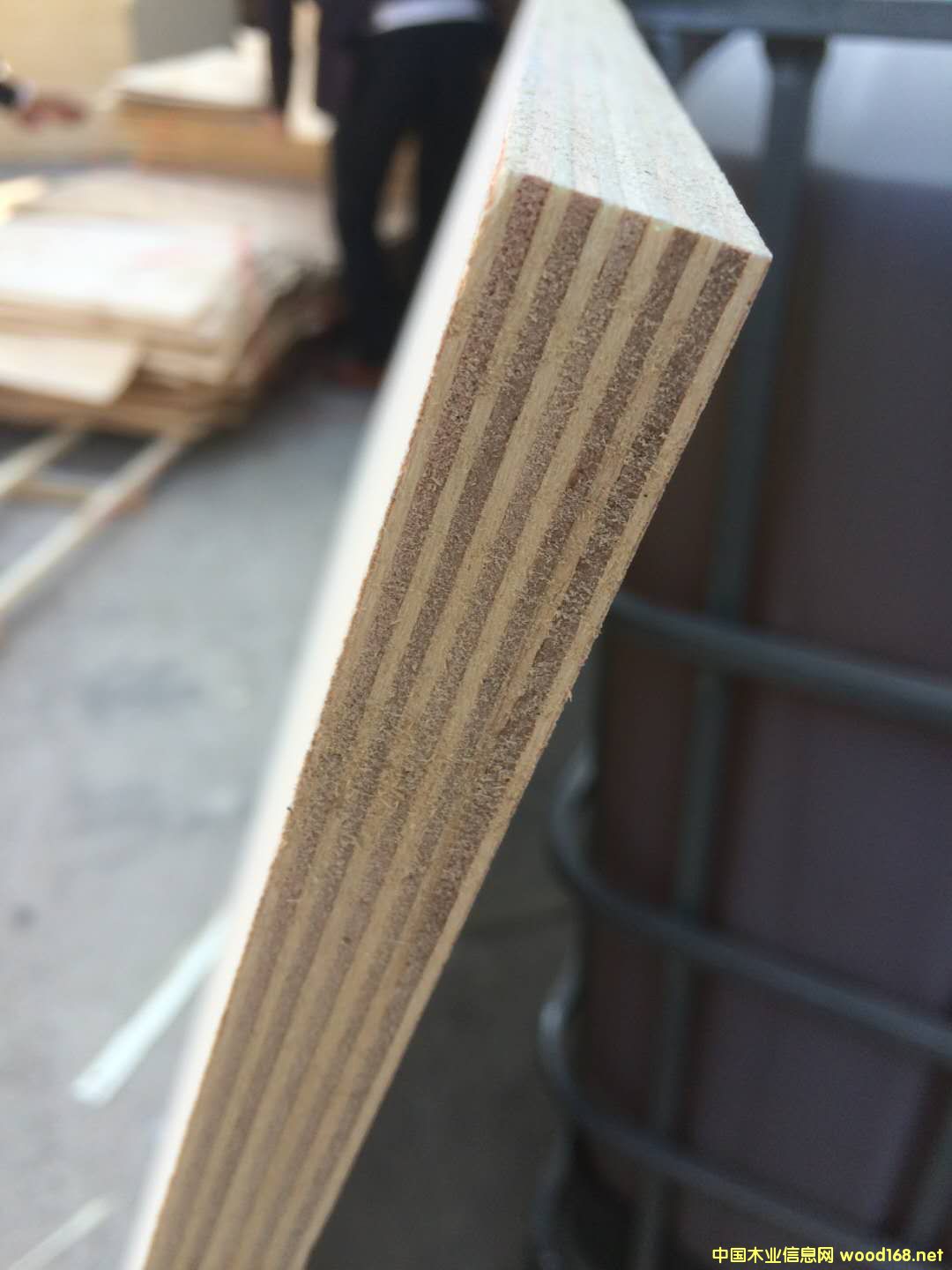 [��] �ߙn����� �Ҿ߰� �����Ҿ߰�