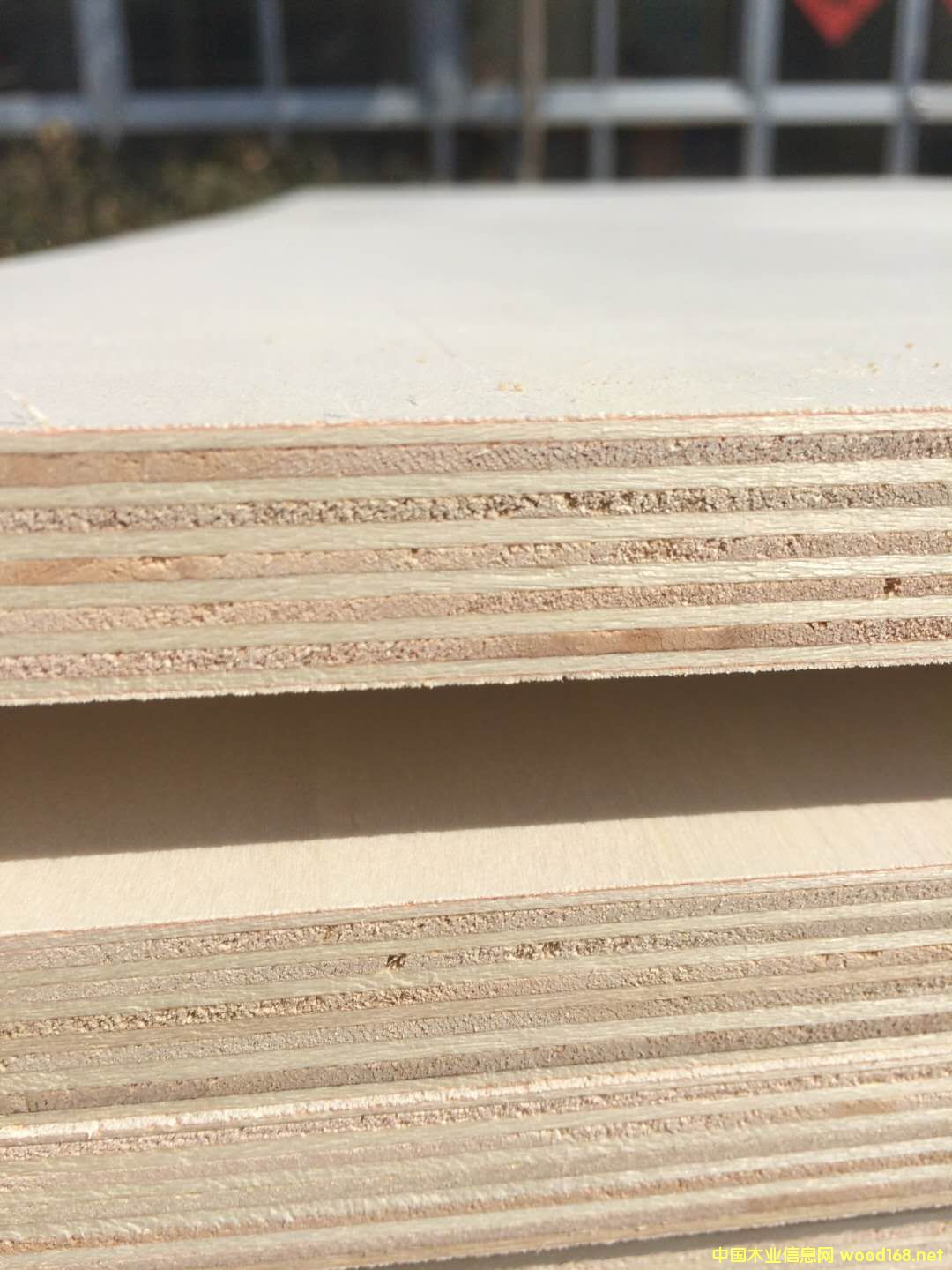 [��] �����ň@���B(t��i)��