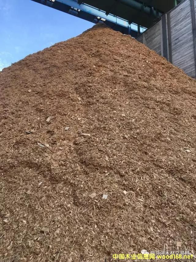 �羳��ُ�����_˹���~�����Іΰ�U��ľƬ