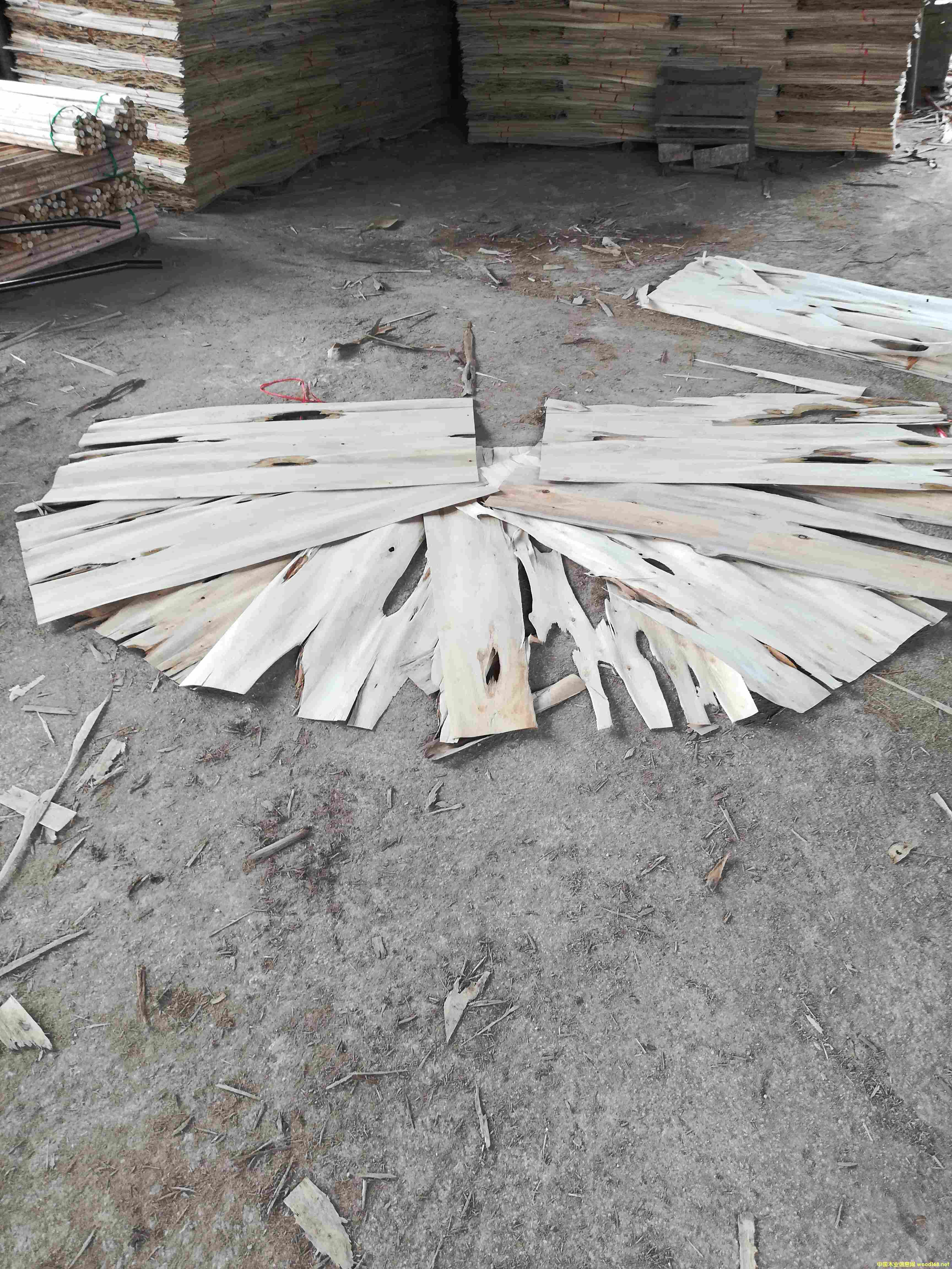 [��] ��ľ�ΰ�Ƥ�Ӷ�����