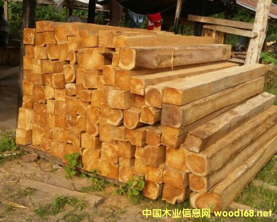 �炐�ȁ���ľ����