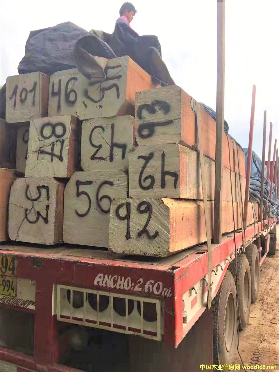 �����R�t̴��