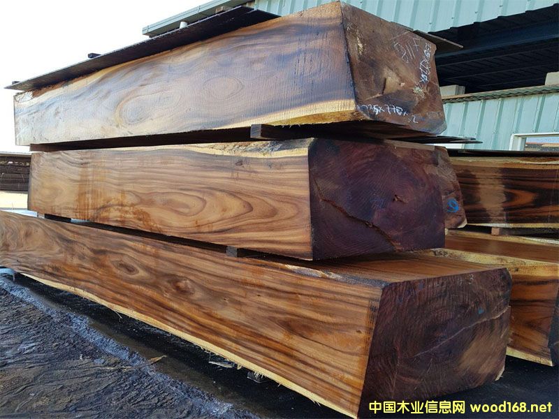 �S��ֱ�N�����M���һ�оľ